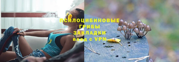 гидропоника Ладушкин