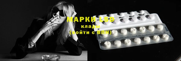 МДПВ Лагань