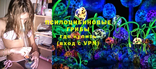 МДПВ Лагань