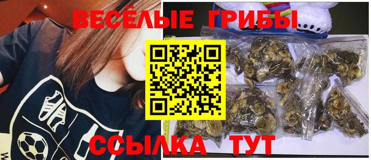 Галлюциногенные грибы мицелий Нижневартовск