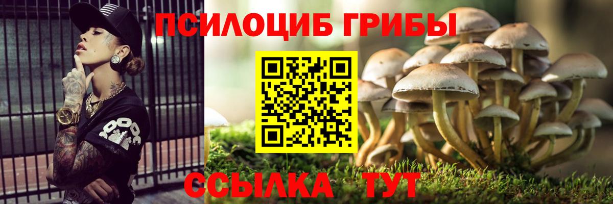 Нижневартовск  Галлюциногенные грибы мицелий  Вход с VPN 
